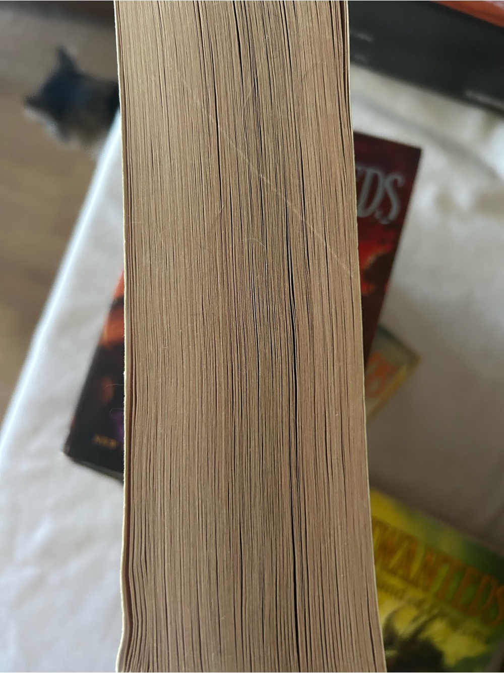 The Unwanteds Series Books 2-7 Paperback By Lisa McMann - Picture 9 of 9